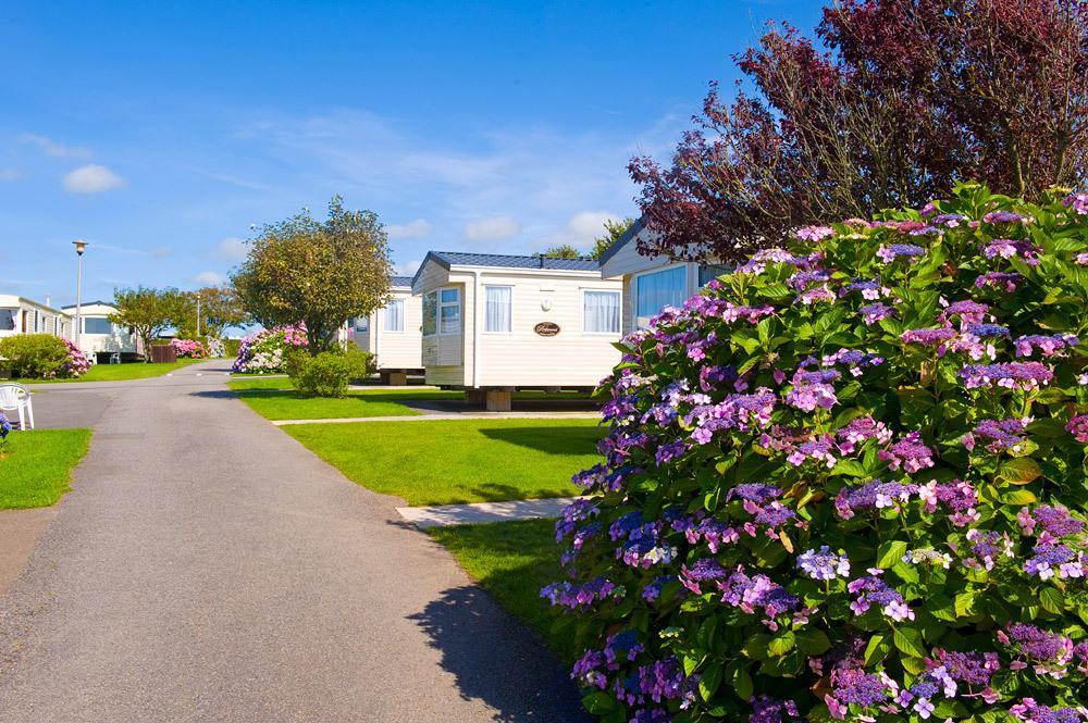 Wooda Farm Holidays Bude Camera foto