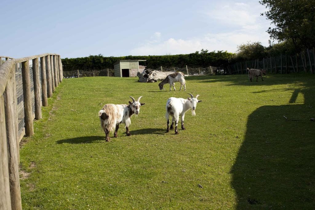 Wooda Farm Holidays Bude Esterno foto
